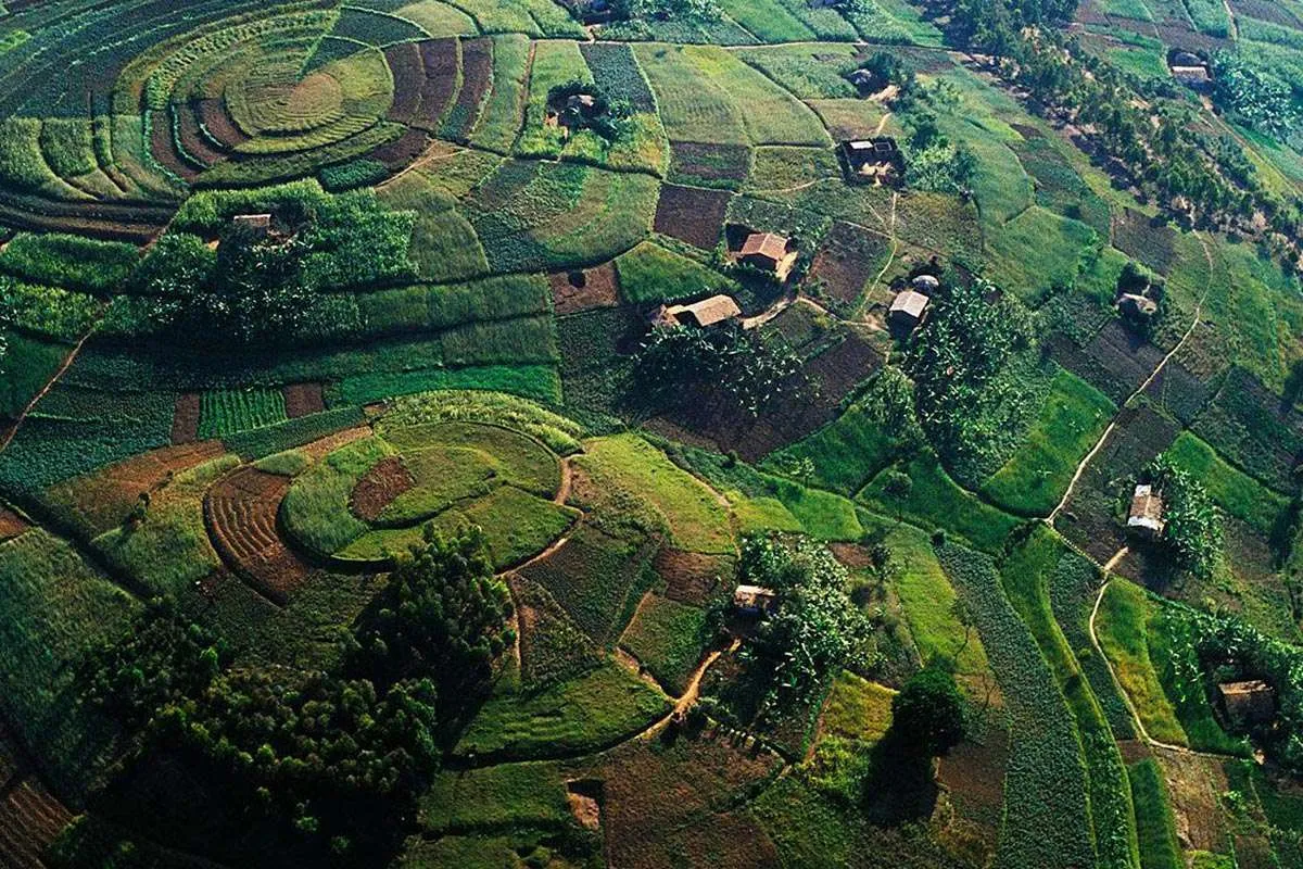Best of Uganda Safari