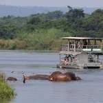 Boat launch safari in Murchison on the Nile