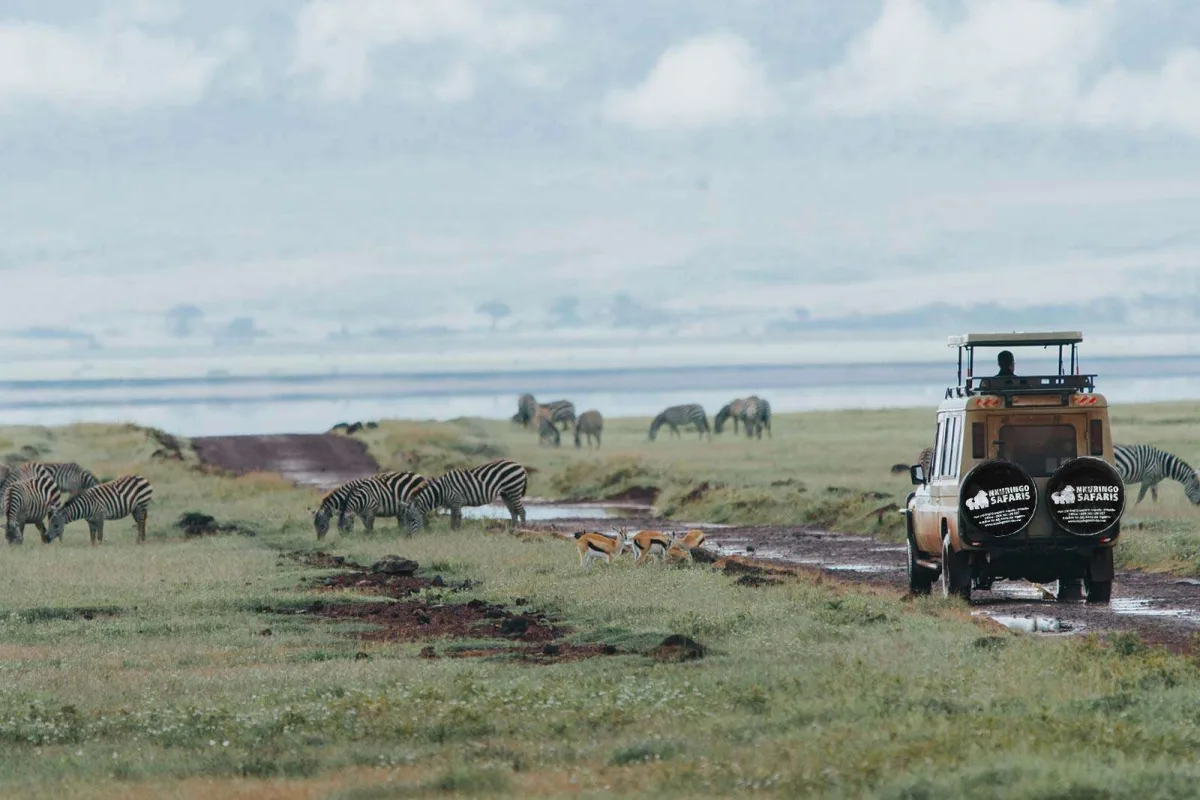Visit Uganda Next - game drive on African safari - wildlife game drives in Africa