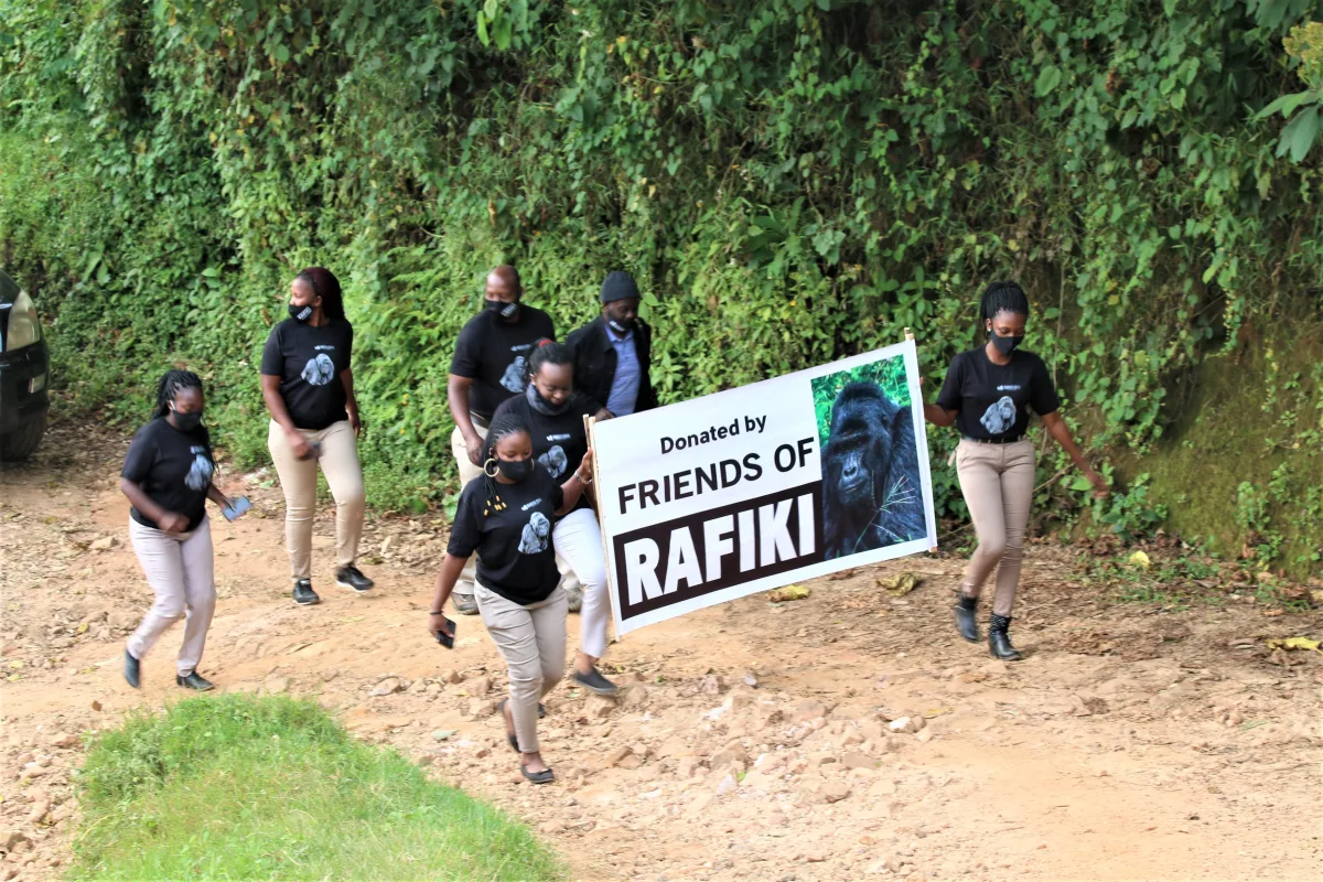 Rafiki Gets Justice, Gorilla Killers Sentenced to Prison Life
