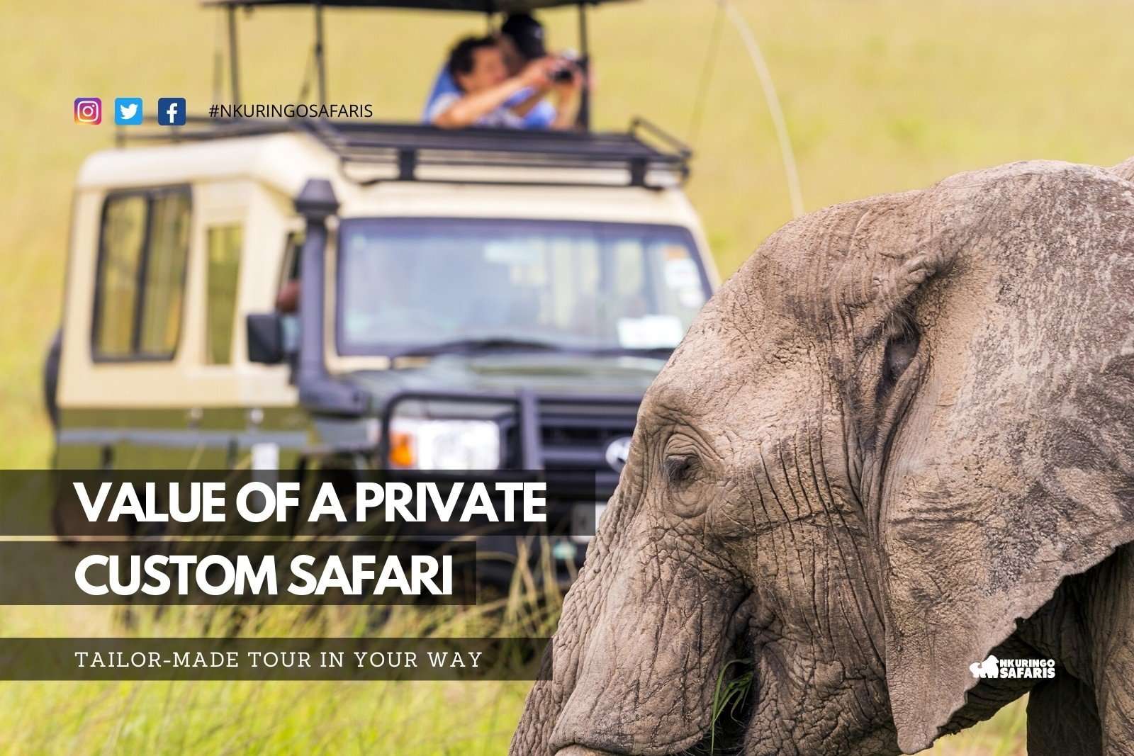 Value of a Private, Custom Safari. Tailor-made Tours