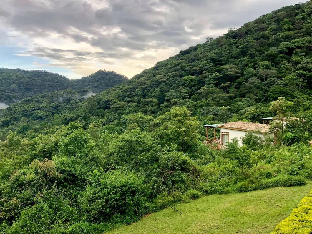 Privacy and Exclusivity: Reconnect with Each Other and Nature