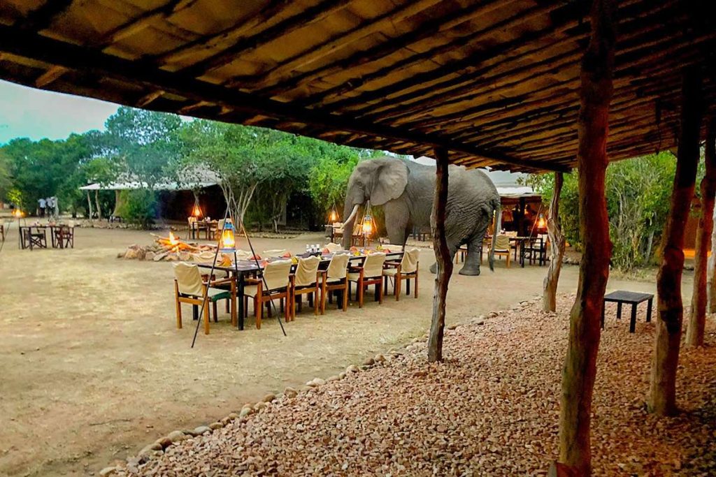 bush lodge, camp accommodation in Queen Elizabeth National Park