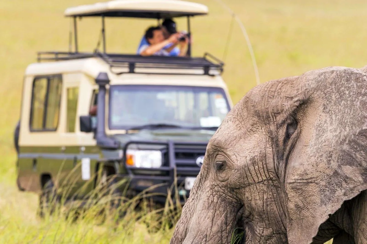 Is uganda good for safari?