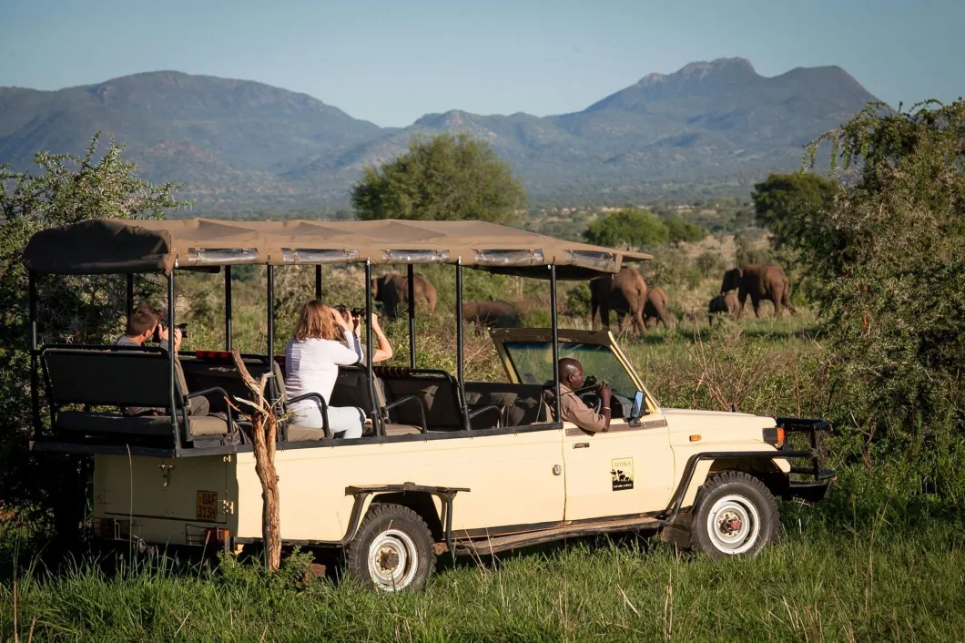 wildlife safaris in Kidepo Valley