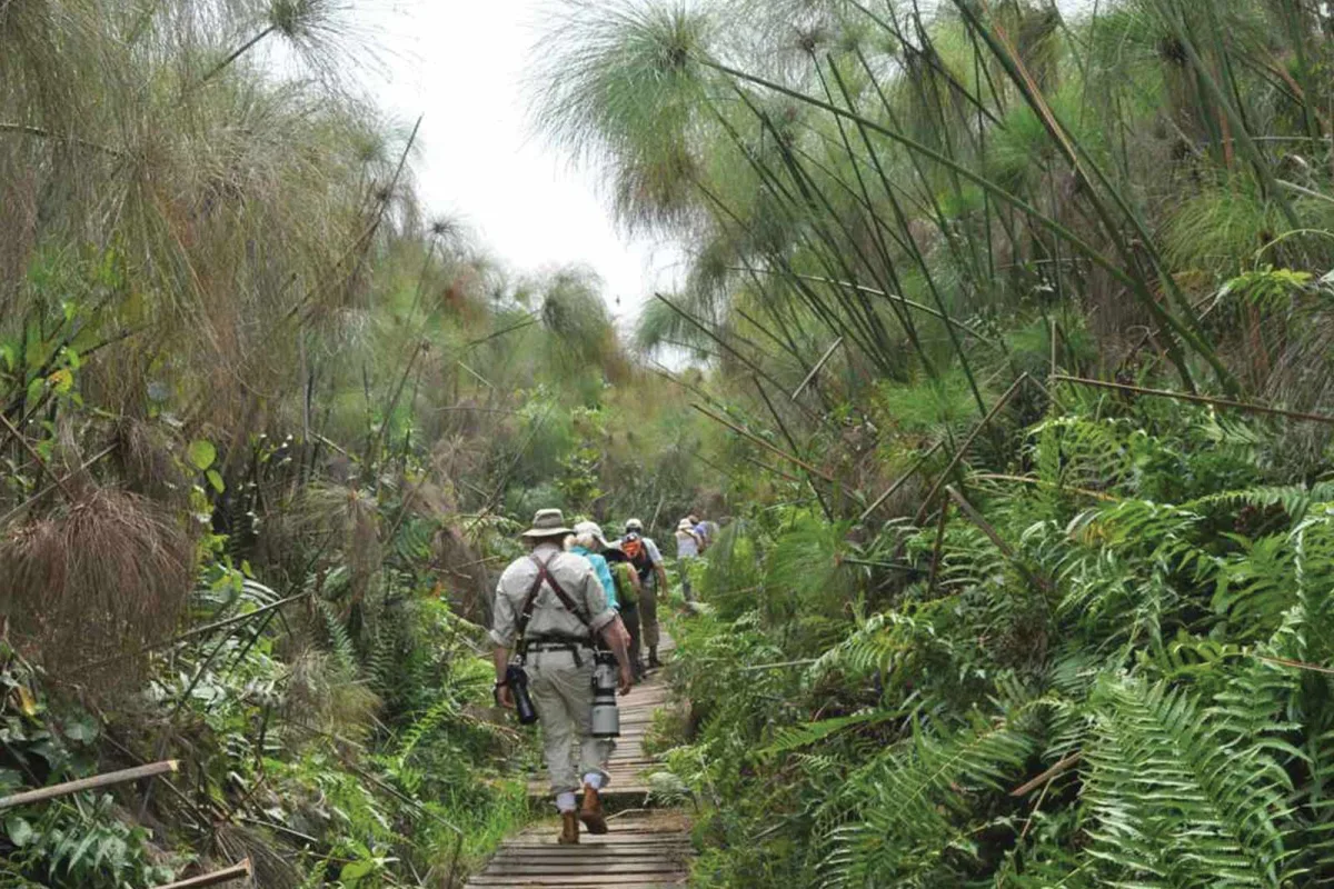 Bigodi Wetland Sanctuary birding trail