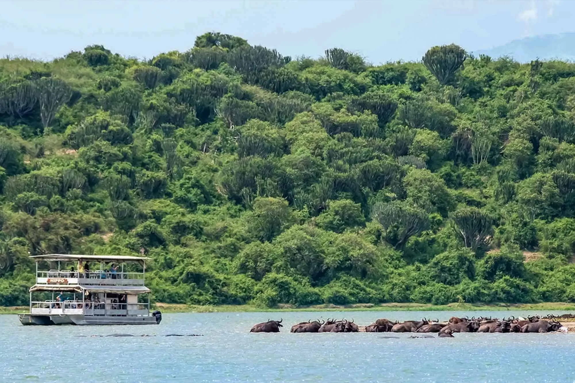 Boat safari on kazinga channel in Queen Elizabeth national park