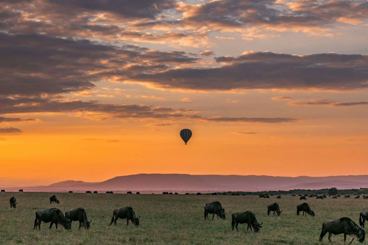 Guide To Planning A Safari Holiday Trip in Tanzania & Zanzibar