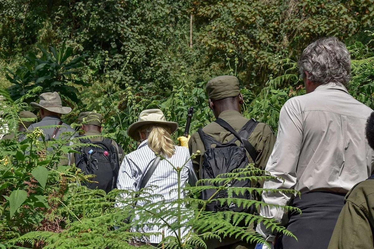 How to Have a Sustainable Hiking Trip in Uganda