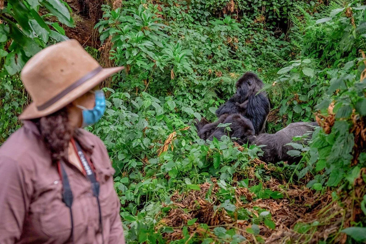 Life-changing and Meaningful Experiences You Must Have in Rwanda - Activities and Experiences in Rwanda