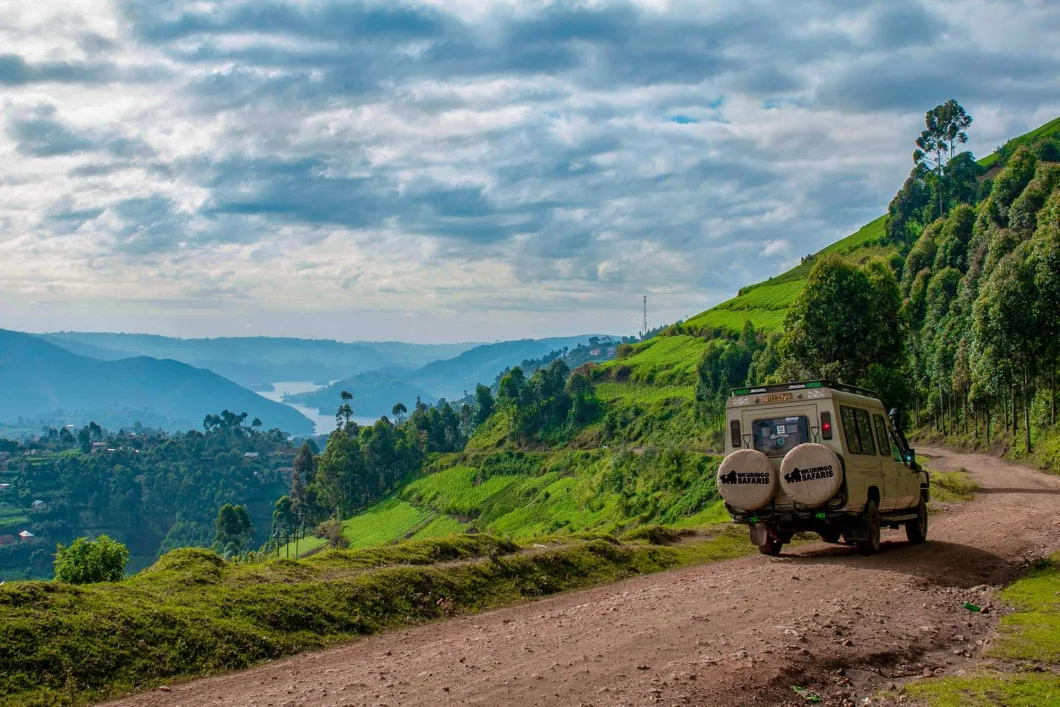On the road to Bwindi Impenetrable National Park for the gorilla experience in uganda - primates encounter