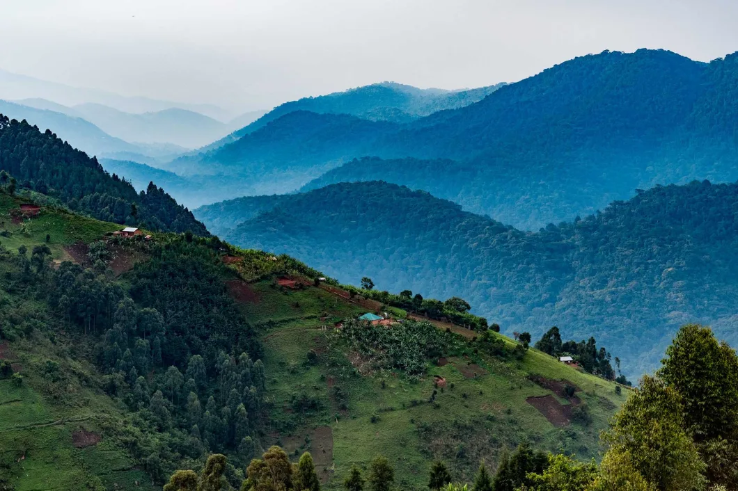 picturesque views of Bwindi as you drive to the gorilla lodge.