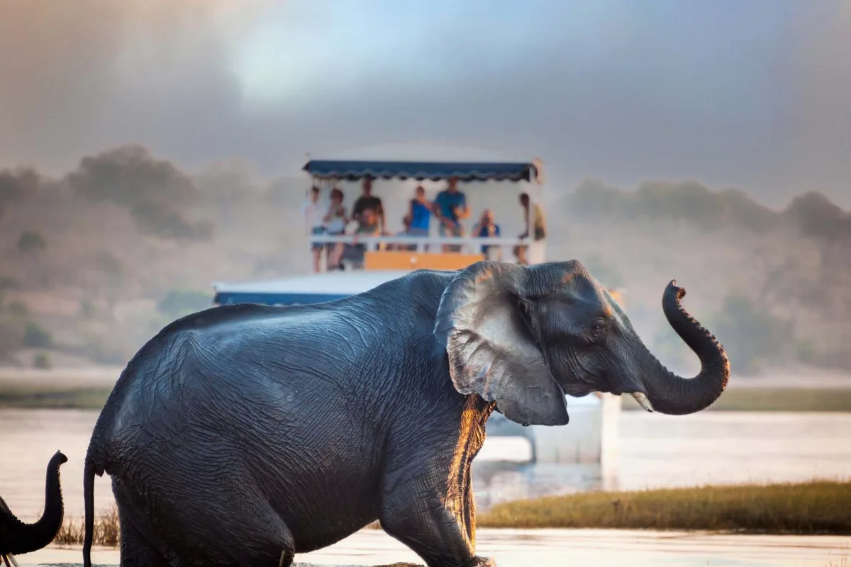 Explore Uganda The Pearl of Africa Adventure