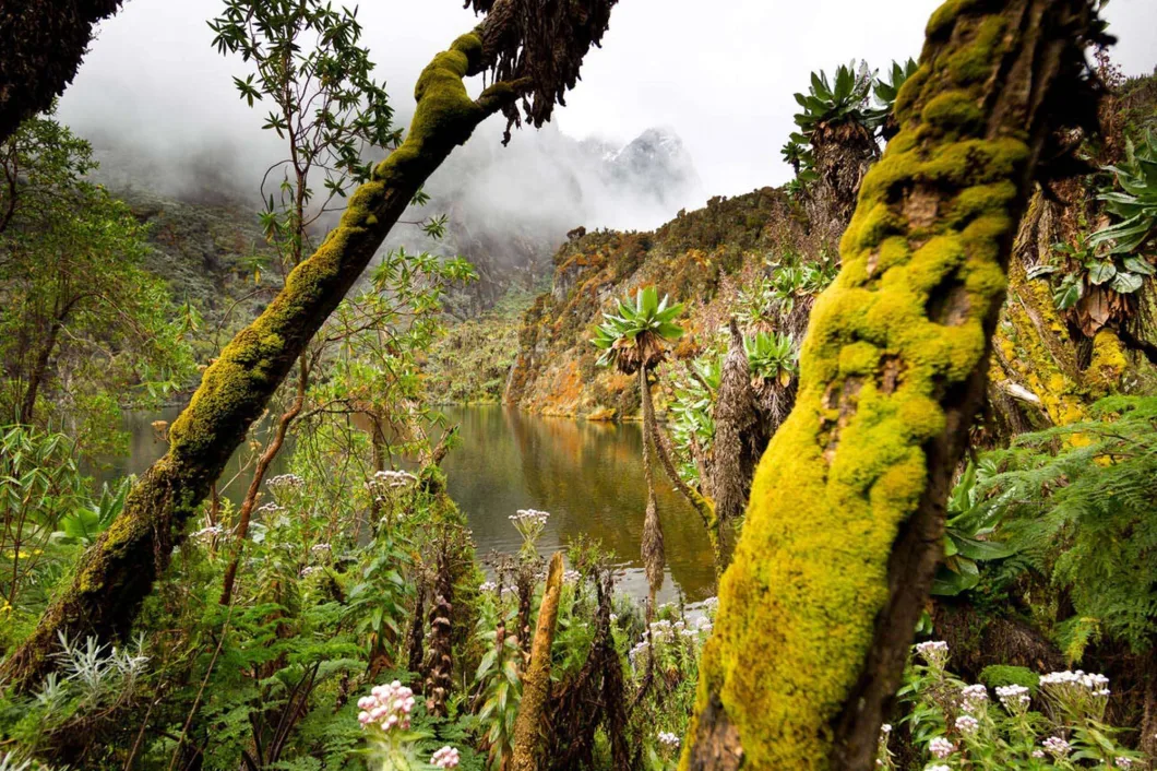 trekking around Rwenzori mountains lakes