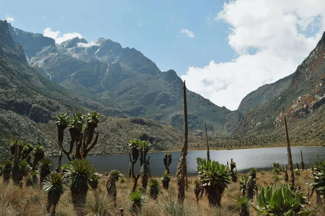 Lake lake mahoma in the rwenzoris