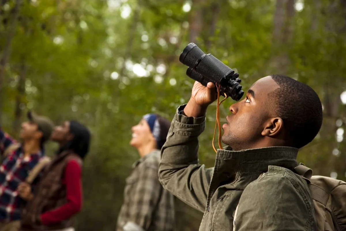 16-day bird watching safari in Rwanda birdwatching adventure