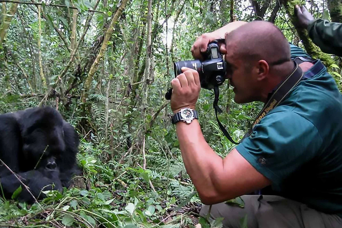Gorilla Photography 101: The Art of Capturing Perfect Portraits - photographing gorillas