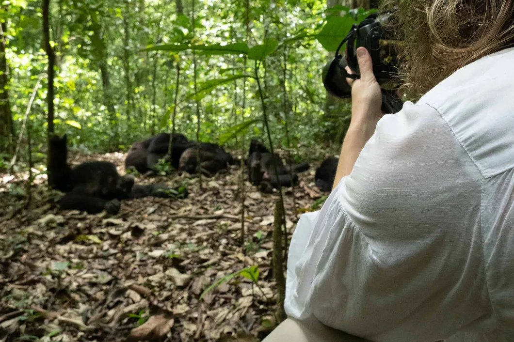 Solo women trekkign chimpanzees in Kibale Forest, Uganda