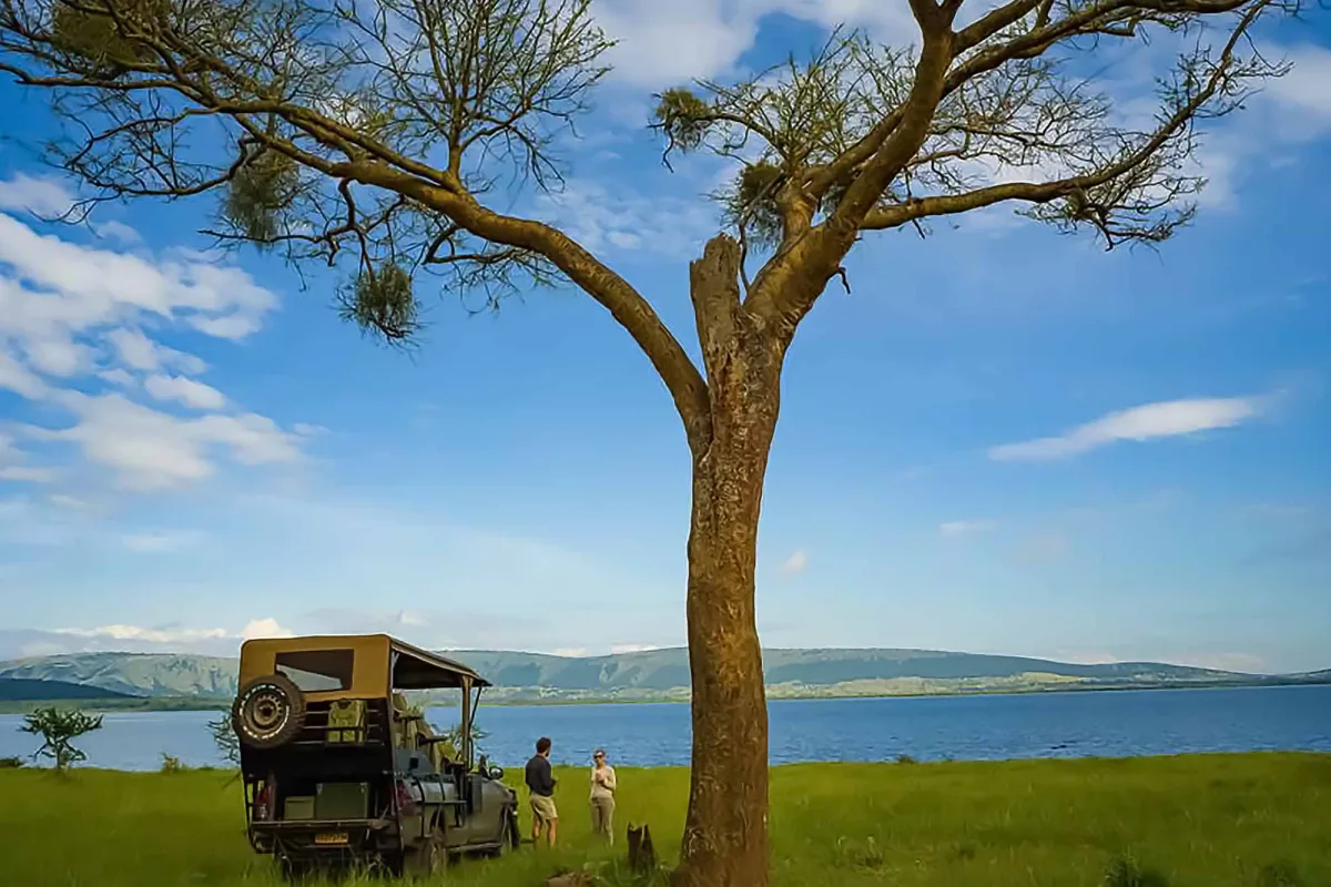 Four exceptional National Parks in Rwanda for a sustainable vacation trip