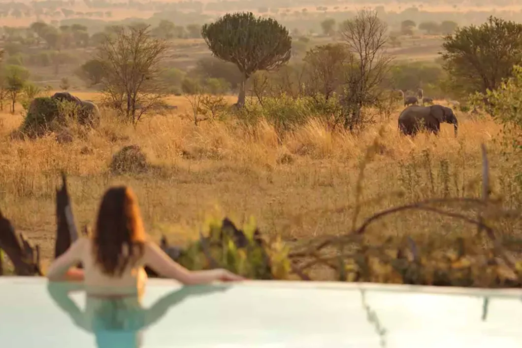 Ultimate Tanzania and Rwanda Luxury Safari