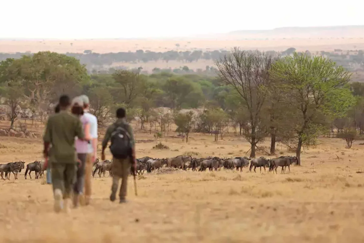 the safest countries in Africa to visit on vacation safari holiday