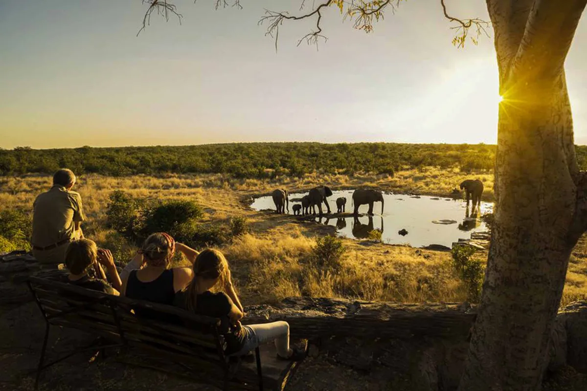 Guided or Independent: The African Safari Dilemma Solved!