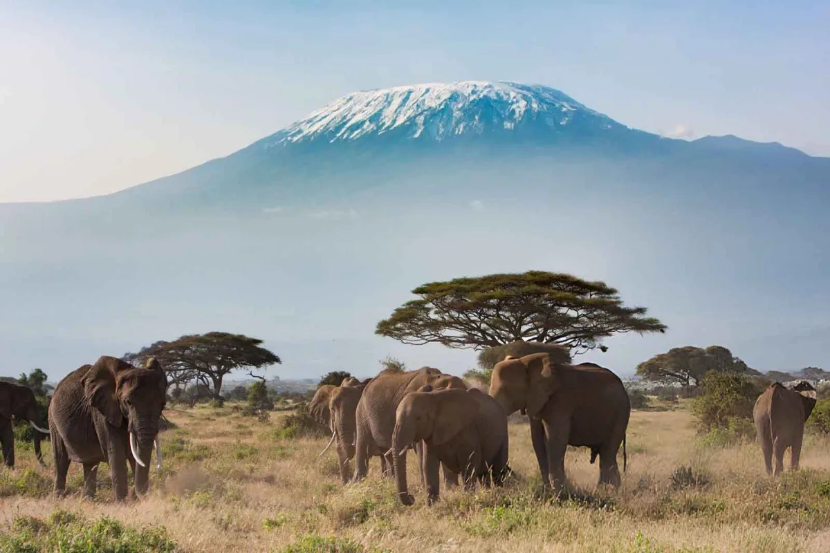 The 10 Highest Mountain Peaks in Africa - Kilimanjaro