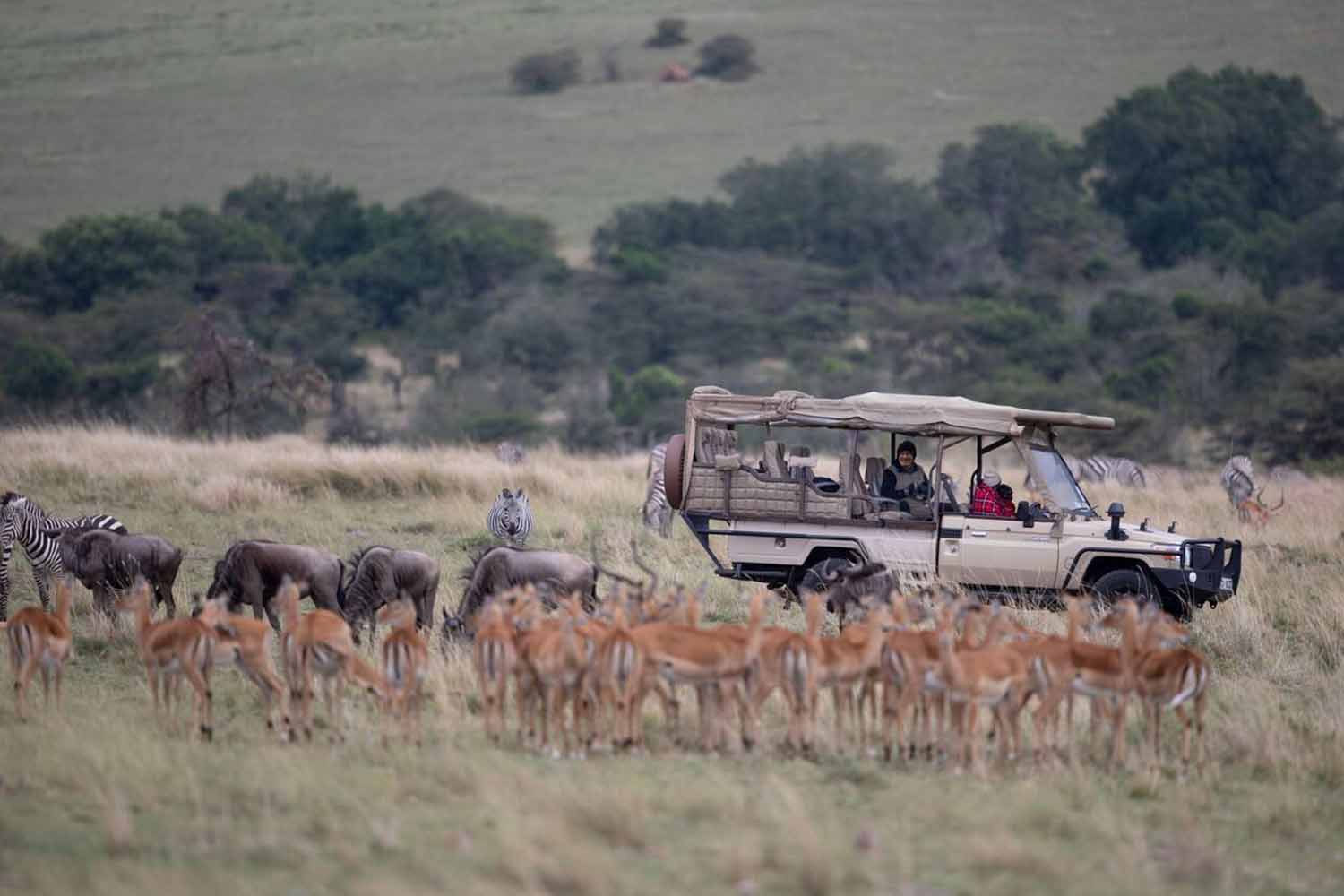 Expert Guides in prime wildlife locations for photography in masai mara
